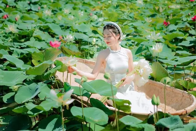 ハノイの蓮の花シーズン｜西湖で楽しむベトナムの夏の絶景・ハノイ市内観光オススメツアー・日本語ガイド付き